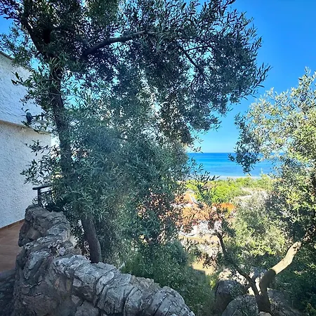 Sea View Joy Collection