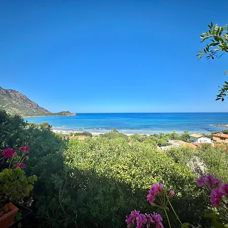 Apartment Sea View Joy Collection